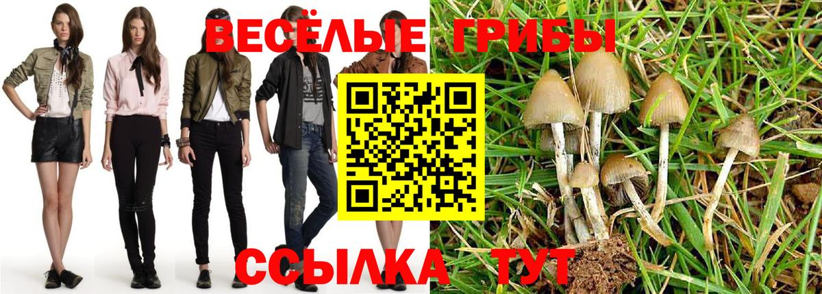 Галлюциногенные грибы прущие грибы Пушкино