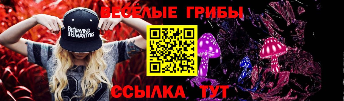 цены   Галлюциногенные грибы Magic Shrooms  Вход с VPN  Пушкино 